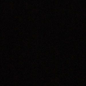 Meet your Posher, Jules